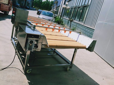 毛發(fā)去雜清洗機