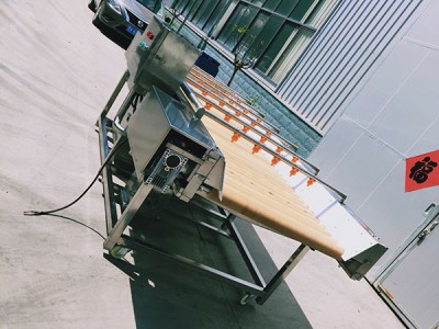 毛發(fā)去雜清洗機