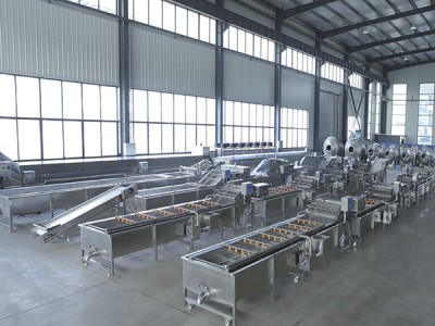 煙臺清洗風干流水線